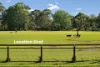 5 Marina Place, Belrose, NSW 2085-Image