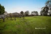 5 Marion Place, Drouin, Vic 3818-Image