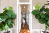 5 Martha Street, Paddington, Qld 4064-Image