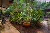 5 Martin Crescent, Coconut Grove NT 0810-Image