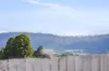 5 Mary Street, Scottsdale, Tas 7260-Image