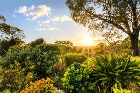 5 Mason Mews, Wellard, WA 6170