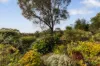 5 Mason Mews, Wellard, WA 6170-Image