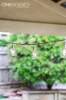 5 Mcmillan Drive, Warragul, Vic 3820-Image