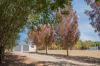 5 Mogo Place, Moore Creek, NSW 2340-Image