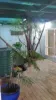 5 Morstone Street, Annandale, Qld 4814-Image