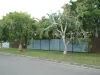 5 Mudjimba Beach Rd, Mudjimba, Qld 4564-Image