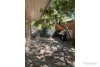 5 Muggs Hill Road, Torrens Park, SA 5062-Image