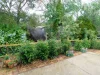 5 Munro Street, Nanango, Qld 4615-Image