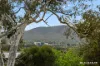 5 Nardoo Crescent, O'Connor, ACT 2602-Image