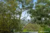 5 Nardoo Crescent, O'Connor, ACT 2602-Image