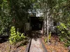 5 Nemarluk Court, Ludmilla, NT 0820-Image