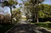5 Nisbet Road, Applecross, WA 6153-Image