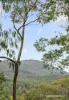 5 North Avenue, Mount Evelyn, Vic 3796-Image