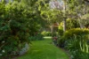 5 Norwich Avenue, Burnside SA 5066-Image