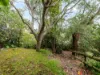 5 Ocean Close, Surf Beach, NSW 2536-Image