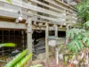 5 Ocean Close, Surf Beach, NSW 2536-Image