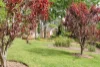 5 Old Oak Place, Moss Vale, NSW 2577-Image