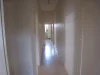 5 Oxford Street, Box Hill, Vic 3128-Image
