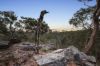 5 Parkcrest Place, Kenthurst, NSW 2156-Image