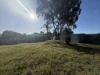 5 Paterson Place, Muswellbrook, NSW 2333-Image