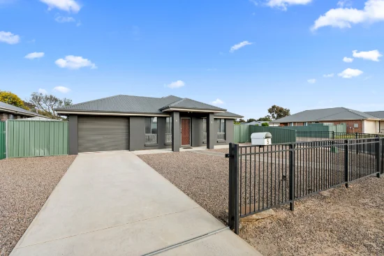 5 Pfitzner Close, Murray Bridge, SA 5253 - For Sale