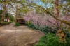 5 Piccadilly Crescent, Piccadilly, SA 5151-Image