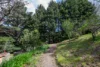 5 Piccadilly Crescent, Piccadilly, SA 5151-Image