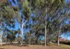 5 Pitt Street, Narrogin, WA 6312-Image