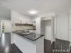 5 Rebecca Street, Little Mountain, Qld 4551-Image