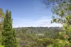 5 Redgum Place, Frenchs Forest, NSW 2086-Image