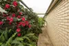 5 Ronald Street, Port Pirie, SA 5540-Image