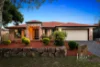 5 Sefton Court, North Lakes, Qld 4509