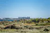 5 Sheldon Place, Tarcoola Beach, WA 6530-Image