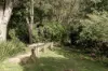 5 Sirron Street, Blue Mountain Heights, Qld 4350-Image