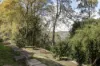 5 Sirron Street, Blue Mountain Heights, Qld 4350-Image