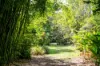 5 Smedley Drive, Pomona, Qld 4568-Image