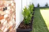 5 Smith Street, North Bendigo, Vic 3550-Image