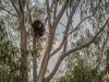 5 Staplehurst Lane, Greenhill, SA 5140-Image