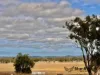 5 Stapleton Street, Texas, Qld 4385-Image