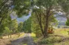 5 Stubbings Road, Grove, Tas 7109
