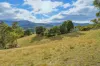 5 Stubbings Road, Grove, Tas 7109-Image