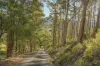 5 Stubbings Road, Grove, Tas 7109-Image