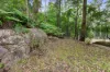 5 Summers Avenue, Hornsby, NSW 2077-Image