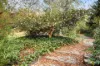 5 Surrey Road, Aldgate, SA 5154-Image