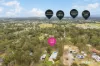 5 Sutton Grove, Branxton, NSW 2335-Image