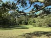5 Tanby Court, Mudgeeraba, Qld 4213-Image