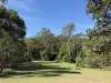 5 Tanby Court, Mudgeeraba, Qld 4213-Image