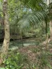 5 Tanby Court, Mudgeeraba, Qld 4213-Image