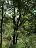 5 Tanby Court, Mudgeeraba, Qld 4213-Image
